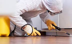 Emergency Pest Control Services in Kingsford Heights, IN